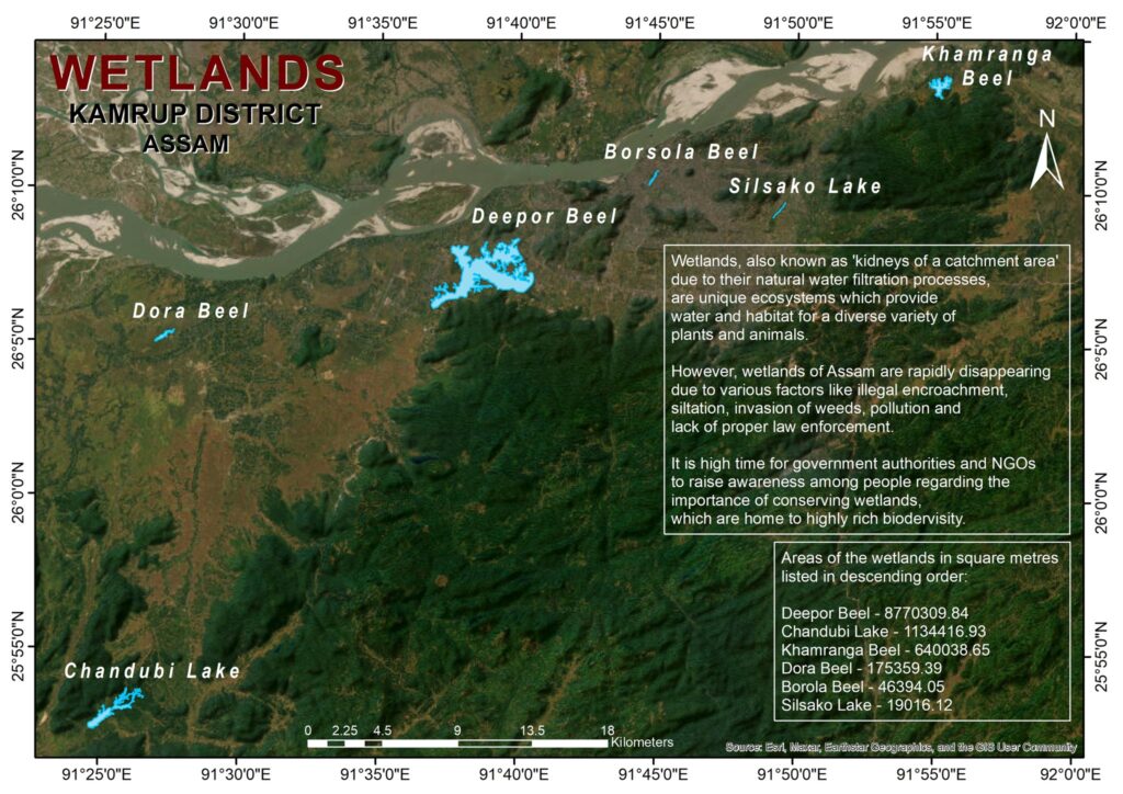 wetland map